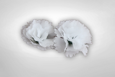 小白花